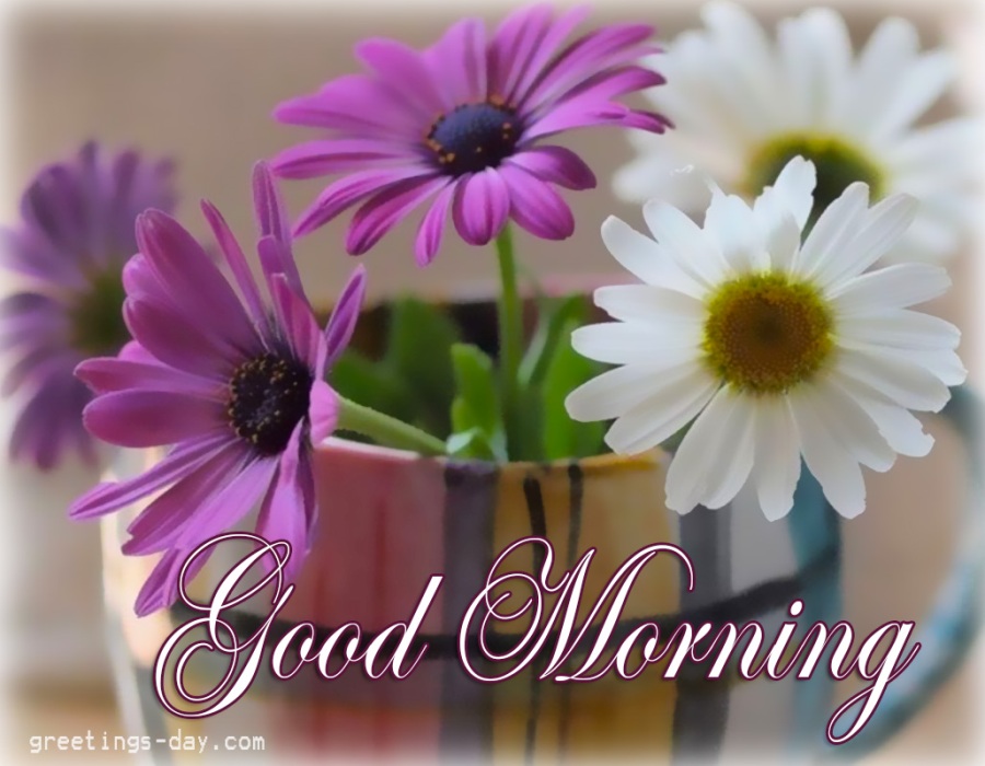 Good Morning Good Morning Wishes Images