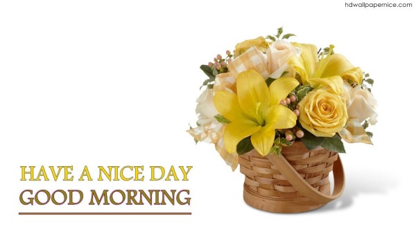 Have A Nice Day Good Morning-wm13114