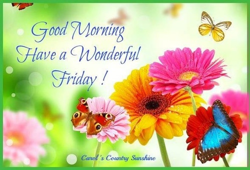 Have A Wonderful Friday Good Morning