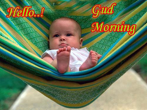 Hello Good Morning-WG141