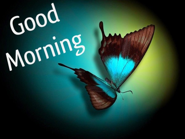 Morning Wish - Good Morning Wishes & Images