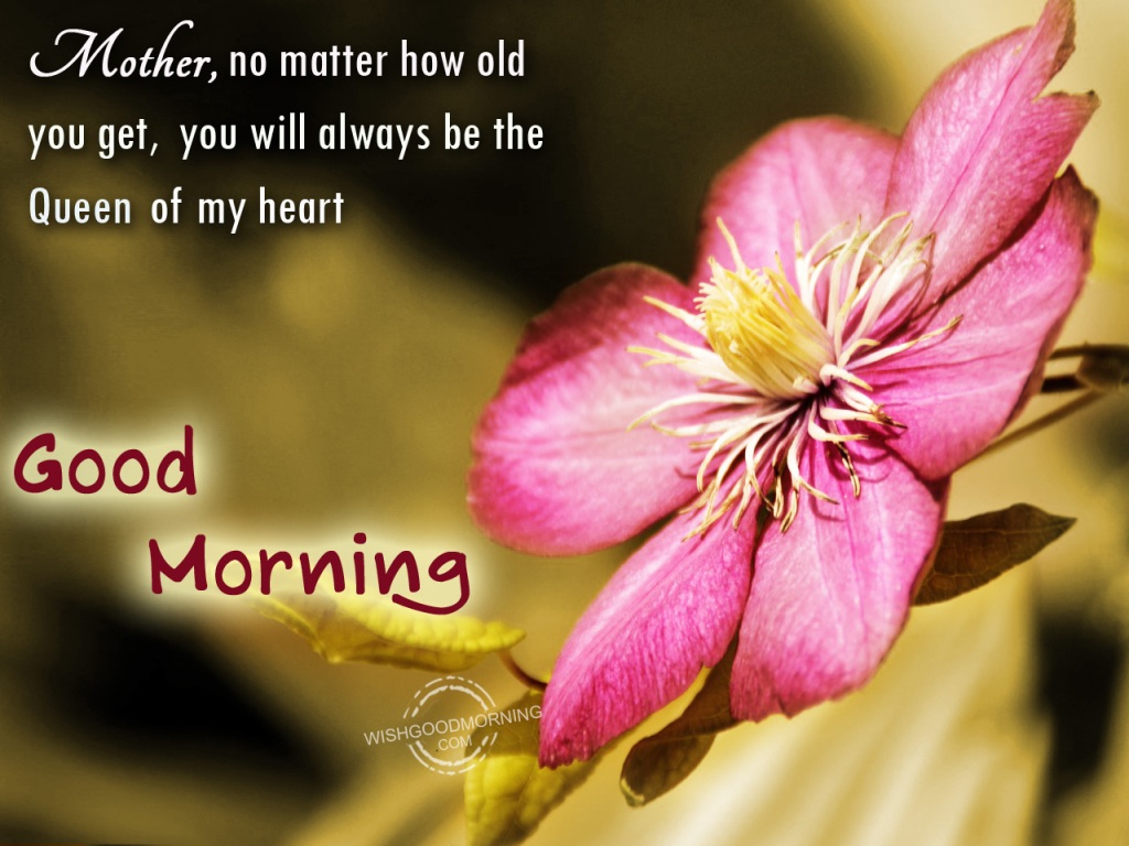 Good Morning Wishes For Mother Pictures, Images - Page 6
