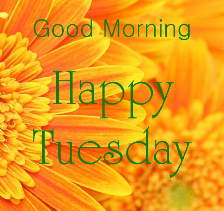 Good Morning Wishes On Tuesday Pictures, Images