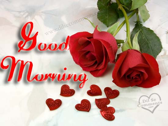 Good Morning My Love With Red Roses