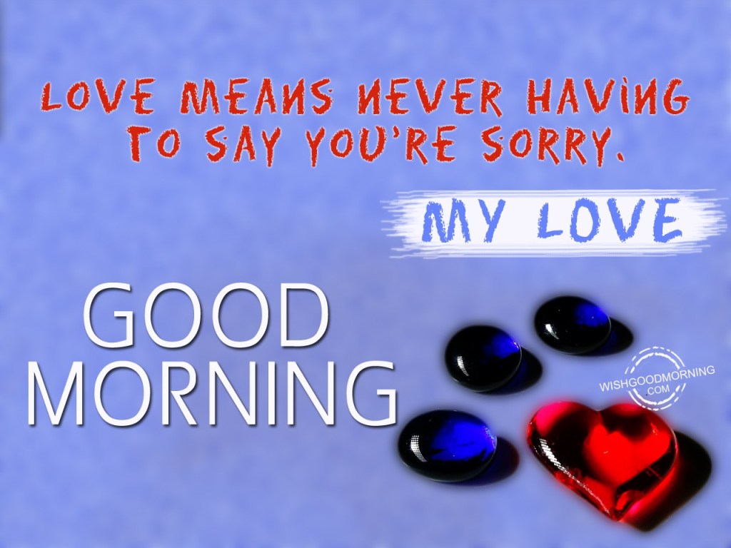 Good Morning- Sorry My Love