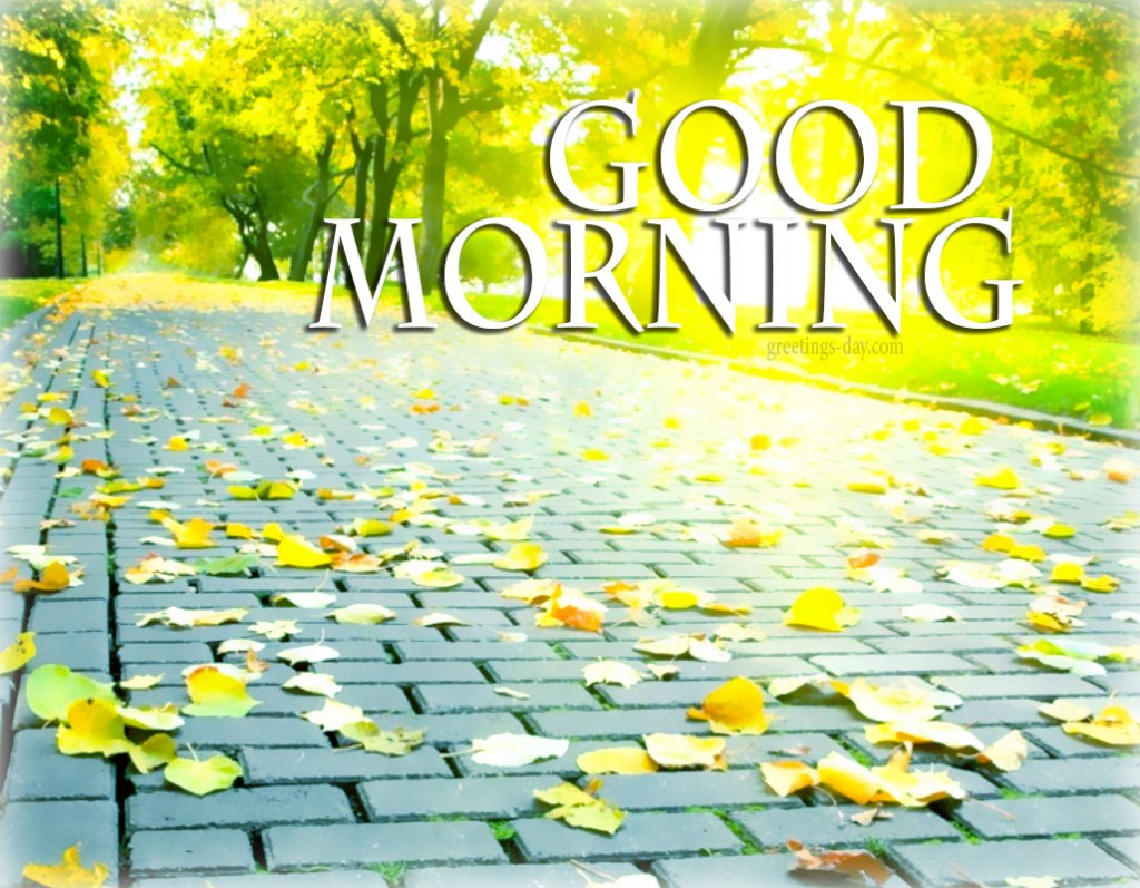 Good Morning Wishes Pictures Images Page 65