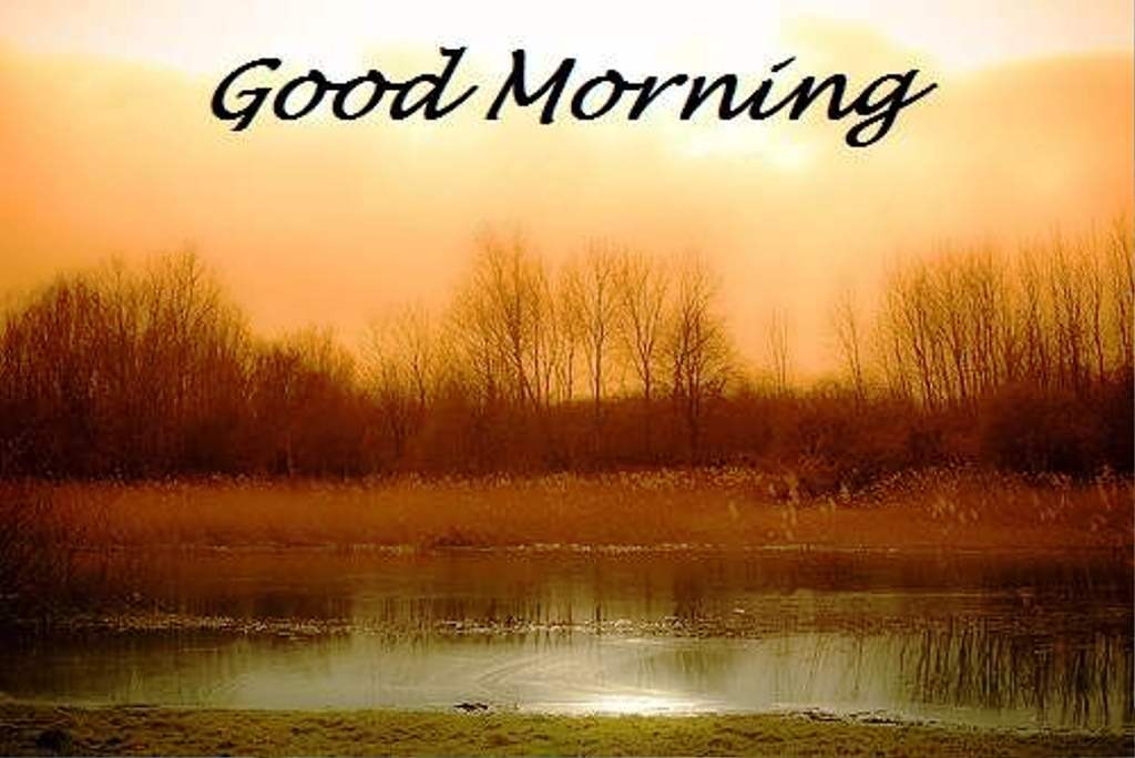 Good Morning Wishes Pictures, Images - Page 53