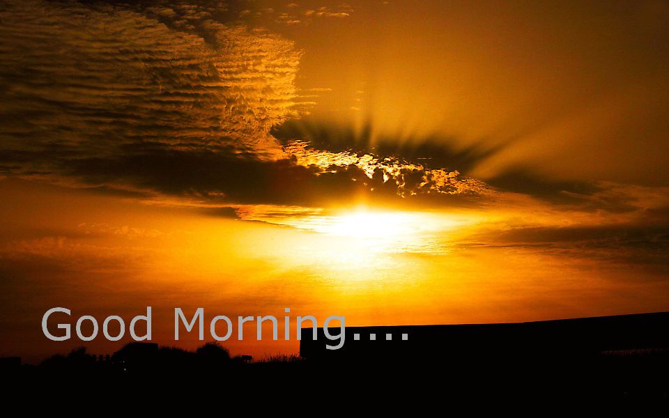Good Morning With Sunrise Photo