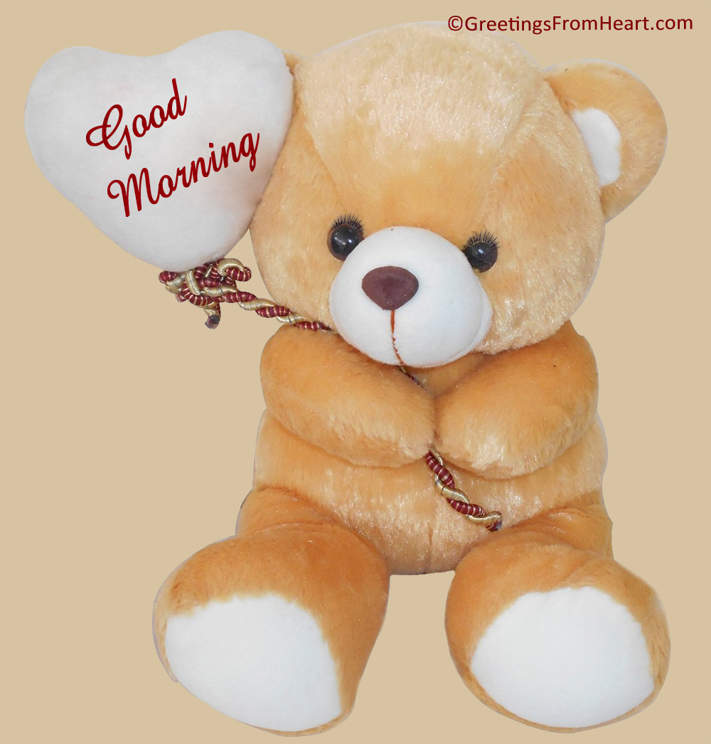 Good Morning Wishes With Teddy Pictures Images