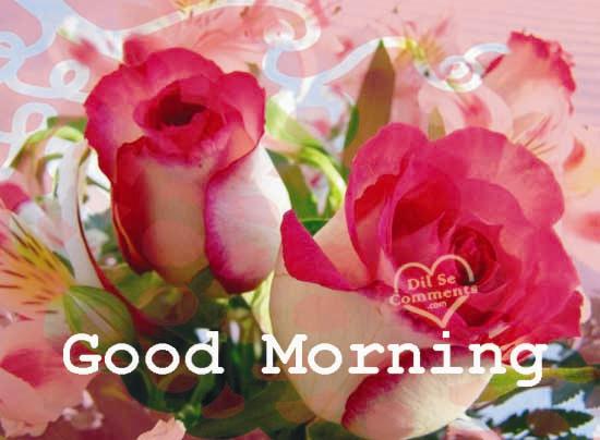 Sending U Beautiful Roses – Good Morning - Good Morning Wishes & Images