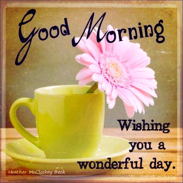 Wishing You A Wonderful Day-Good Morning - Good Morning Wishes & Images