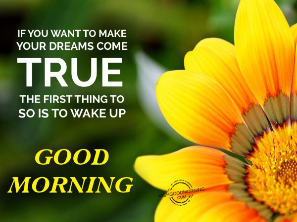 Your Dreams Come True-Good Morning