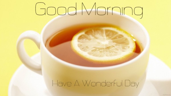 Have A Wonderful Day - Good Morning-wg01529