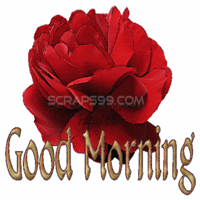 Good Morning Wishes With Flowers Pictures, Images - Page 15