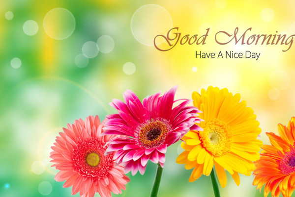 God Morning – Bright Flowers