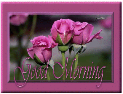 Good Morning – Glitter On Pink Rose