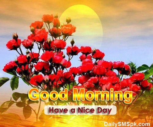 Good Morning Wishes With Flowers Pictures, Images - Page 6