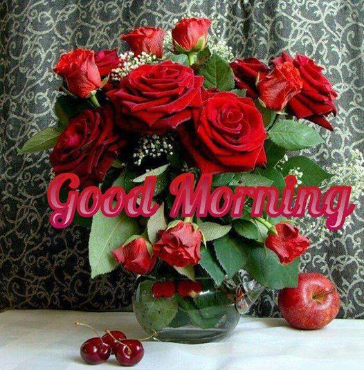 Morning Red Roses - Good Morning Wishes & Images