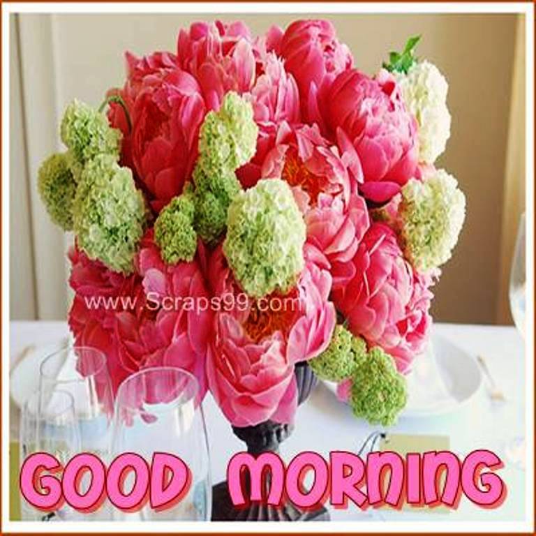 Flower Good Morning Pics Latest - Good Morning Flowers Images 2020 Best ...
