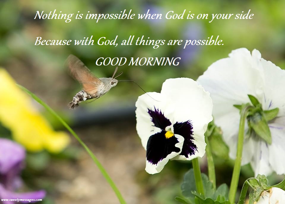 Nothing Is Impossible Good Morning Good Morning Wishes & Images