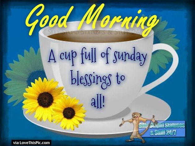 Sunday Cup Good Morning