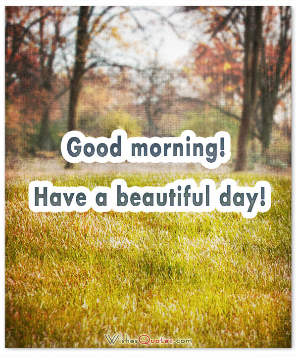 Have A Beautiful Day - Good Morning !-wg16337
