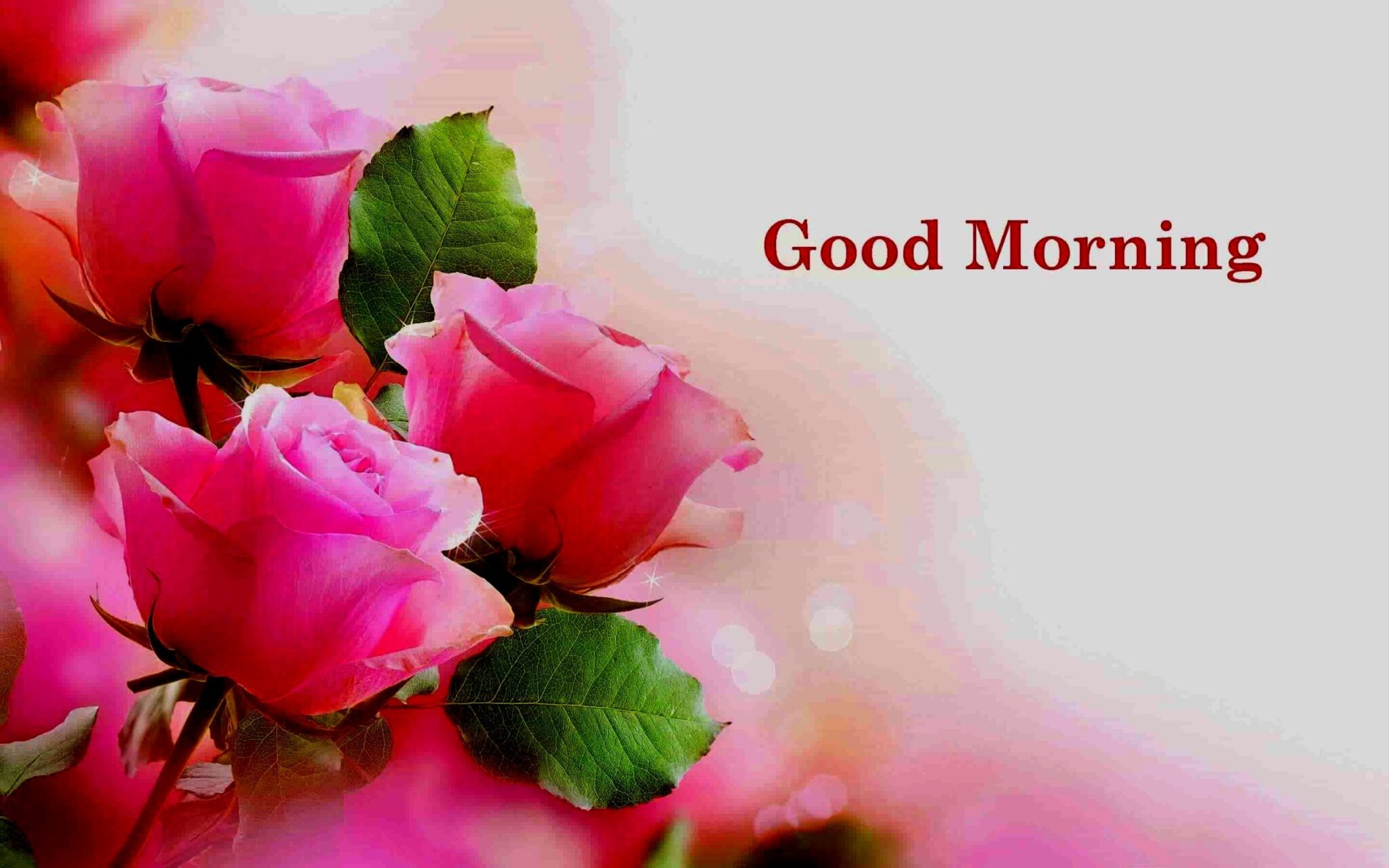 Good Morning Wish With Flowers - Good Morning Wishes & Images