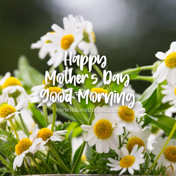 Happy Mother's Day Good Morning photos2