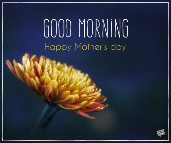 morning-flower-mothers-day