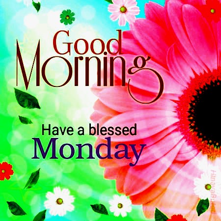 Good Morning Have a Blessed Monday - Good Morning Wishes & Images