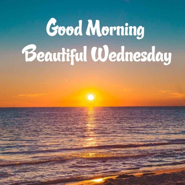 Good Morning Wishes On Wednesday Pictures Images