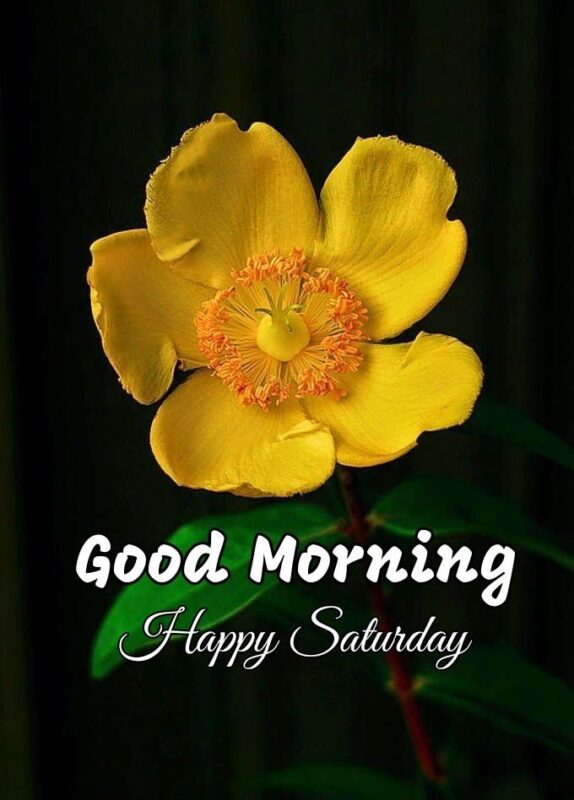 Happy Saturday Morning - Good Morning Wishes & Images