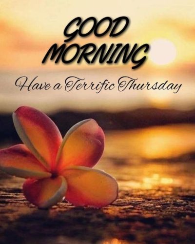 Good Morning Wishes On Thursday Pictures, Images - Page 3