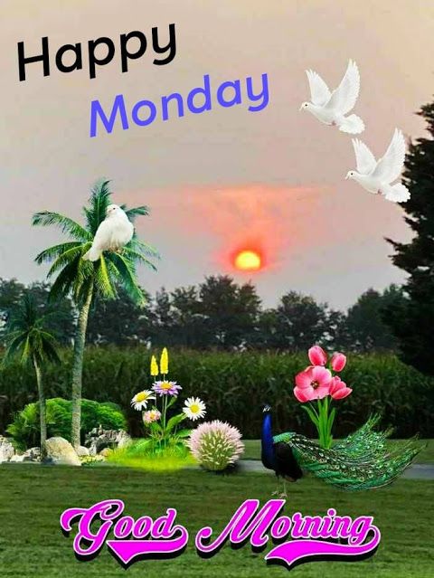 Good Morning Wishes On Monday Pictures, Images