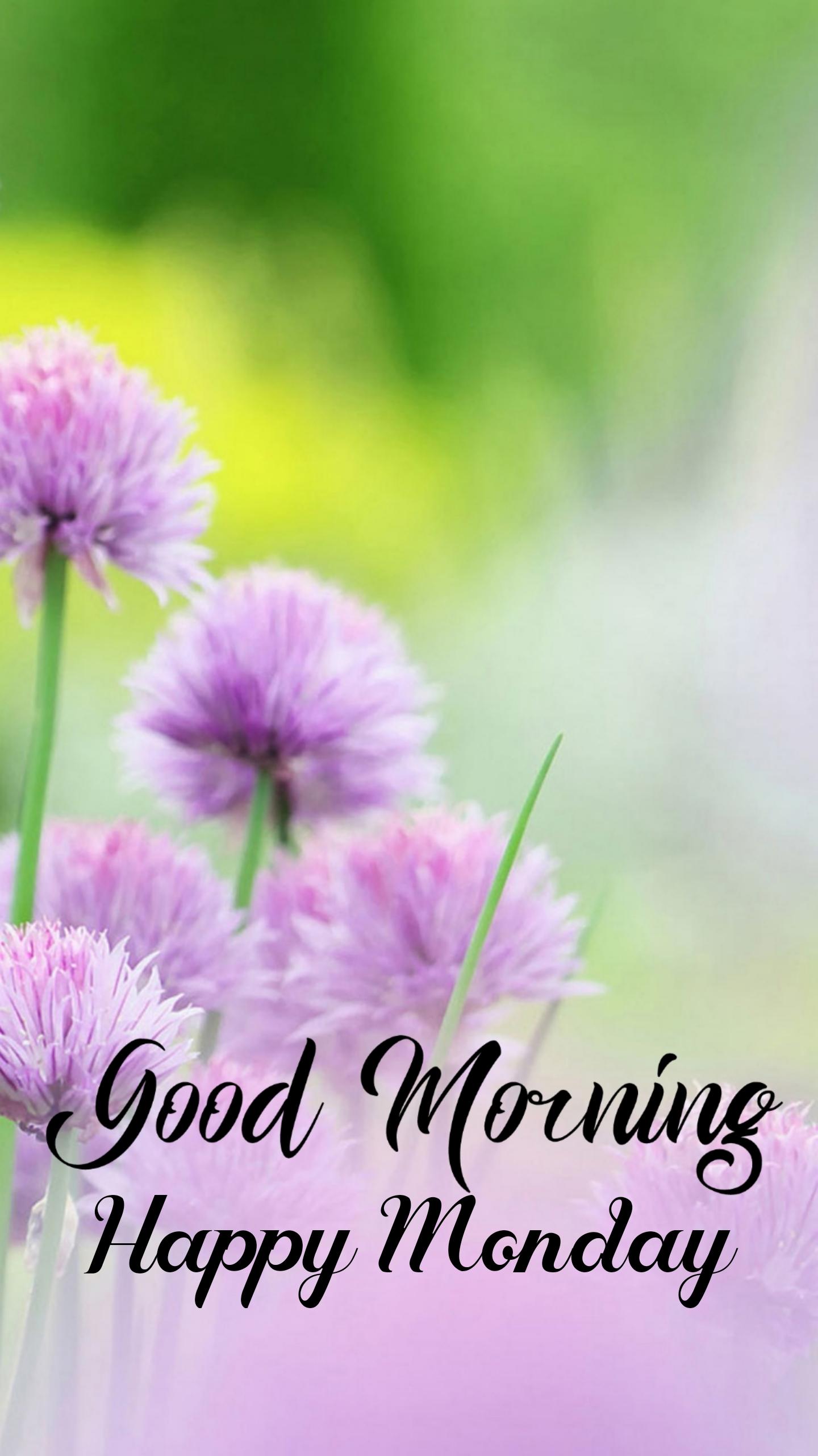 Good Morning Happy Monday Images - Good Morning Wishes & Images