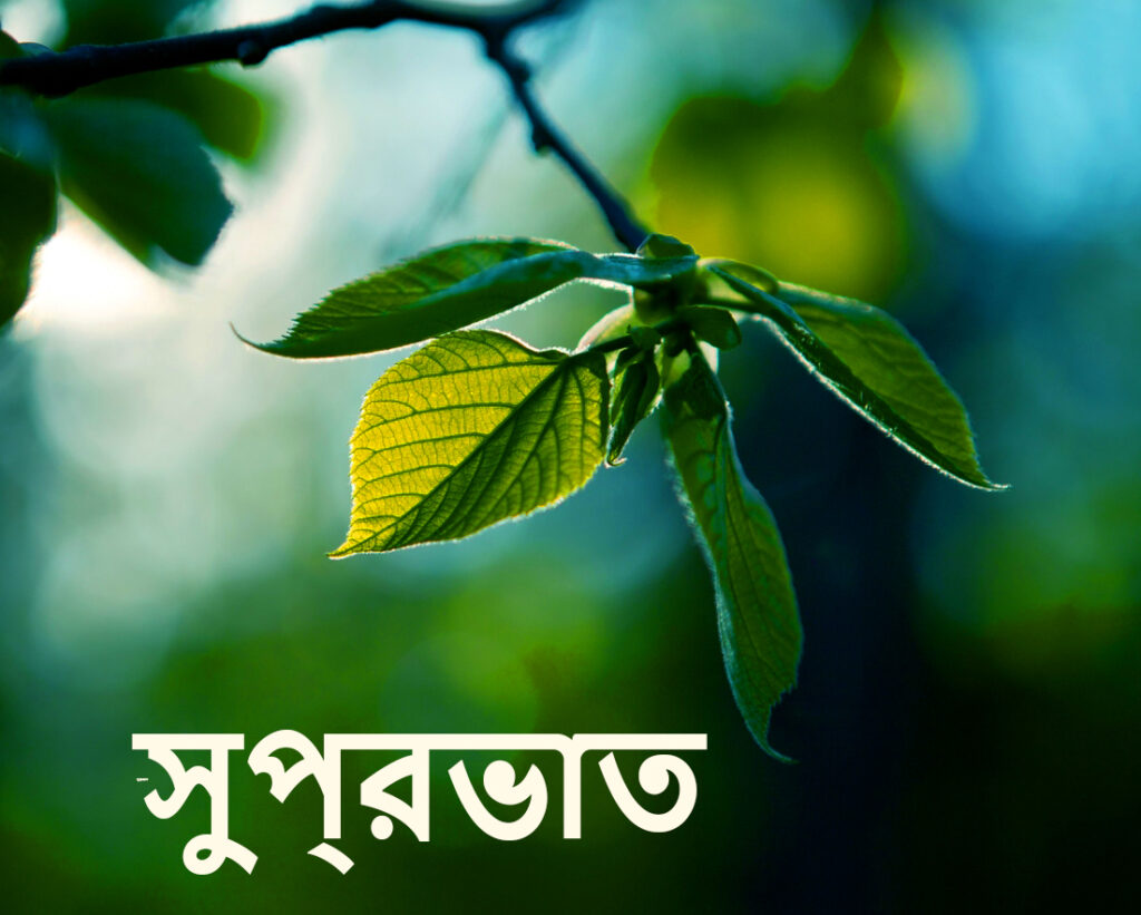 bengali-good-morning-good-morning-wishes-images