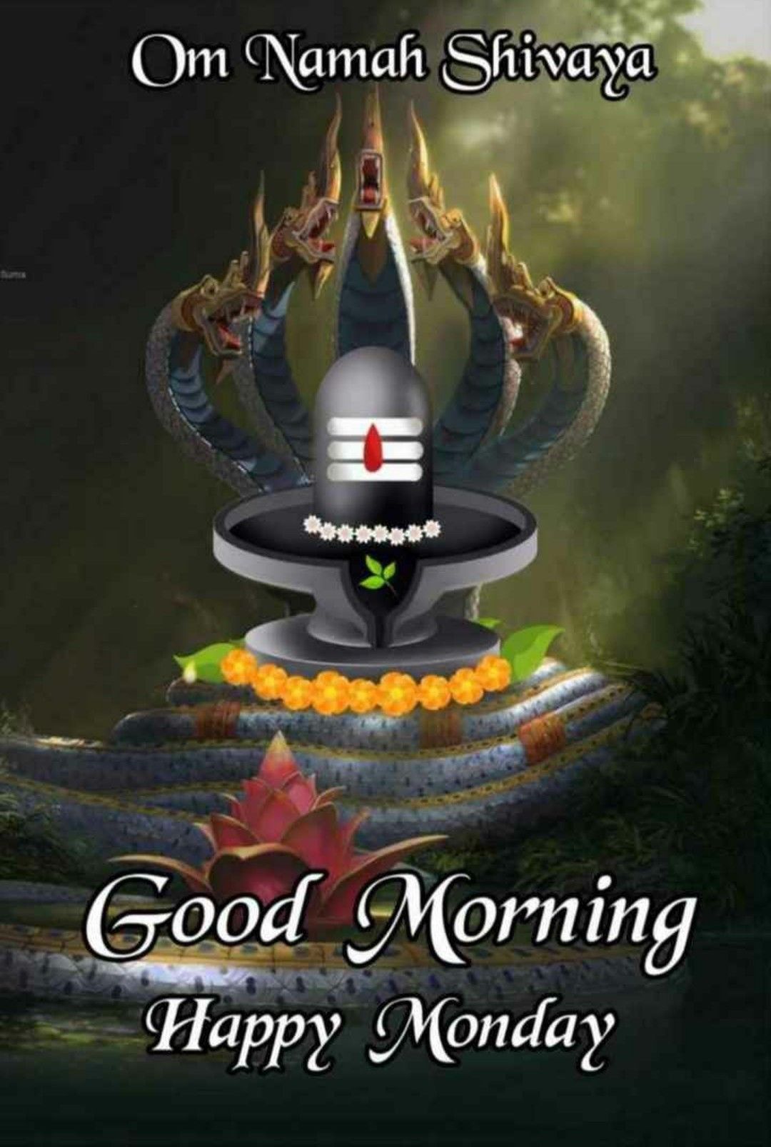 Om Namah Shivay Pic - Good Morning Wishes & Images